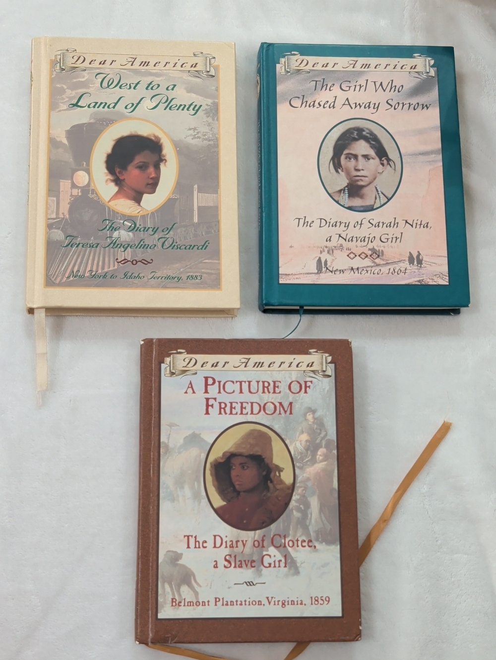 19th Century Dear America Set